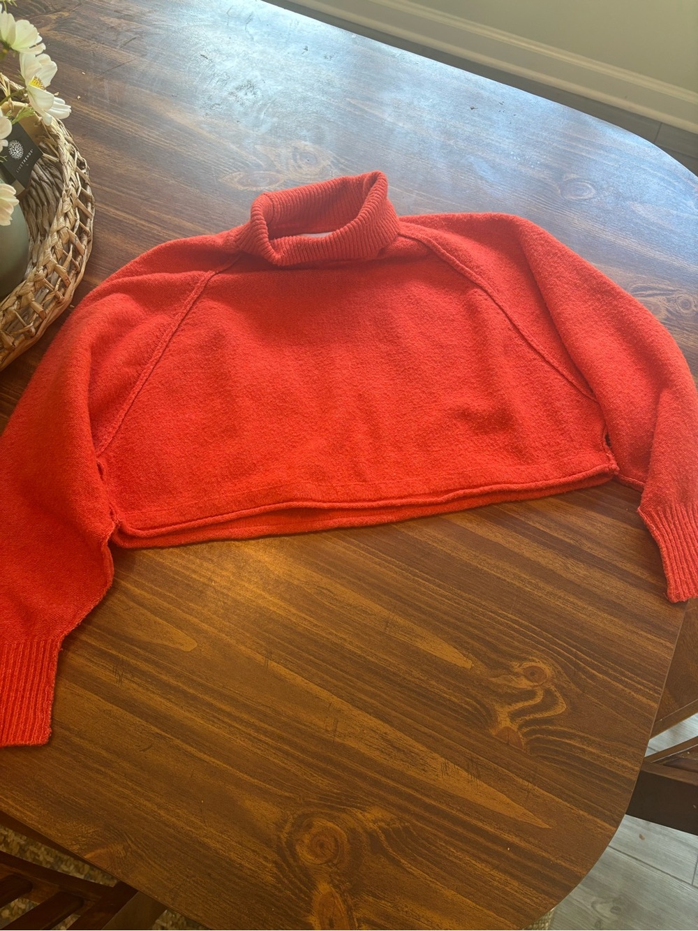 Cozy Urban Outfitters Red Turtleneck Cropped Sweater XS